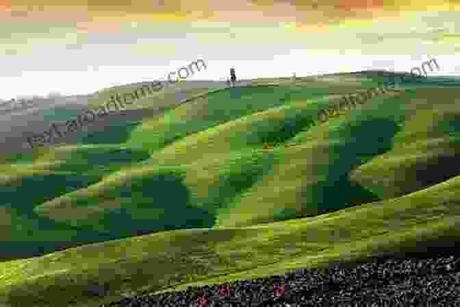 A Breathtaking View Of A Footpath Winding Through A Lush Green Valley, Framed By Rolling Hills And A Clear Blue Sky The Wild Rover: A Blistering Journey Along Britain S Footpaths