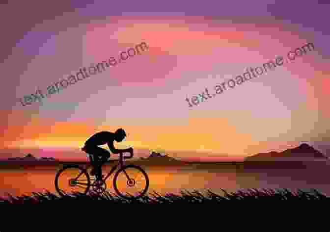 A Cyclist Riding Into The Sunset, Symbolizing The Freedom And Adventure Of Cycling Bike Tribes: A Field Guide To North American Cyclists