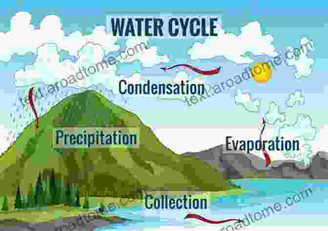 A Diagram Of The Water Cycle, Showing The Processes Of Evaporation, Condensation, And Precipitation. Every Drop Counts Sara Stambaugh