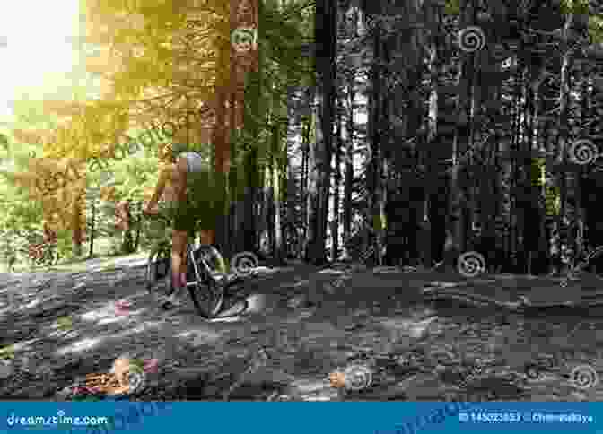 A Group Of Cyclists Riding Through A Forest, Symbolizing Camaraderie And Shared Experiences Bike Tribes: A Field Guide To North American Cyclists