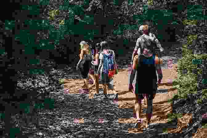 A Group Of People Hiking In A Lush Forest Partnering With Nature: Transformative Adventures