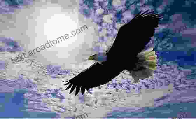 A Majestic Eagle Soaring Through The Sky +20 Animal High Quality Pictures With Names: Animal Encyclopedia For Kids 2nd Edition (Animals Discovery)