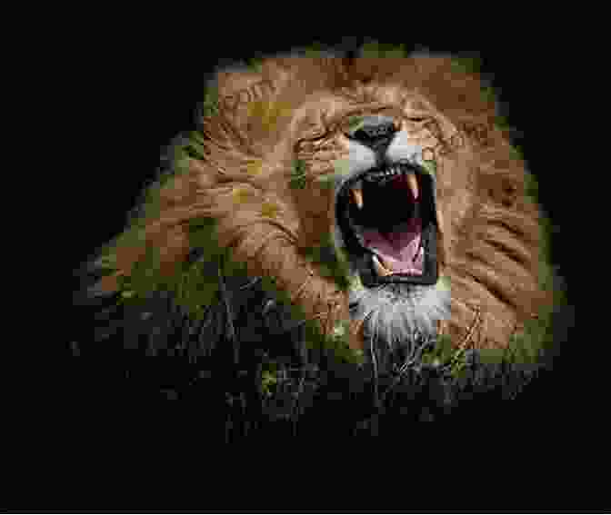 A Majestic Lion Roaring +20 Animal High Quality Pictures With Names: Animal Encyclopedia For Kids 2nd Edition (Animals Discovery)