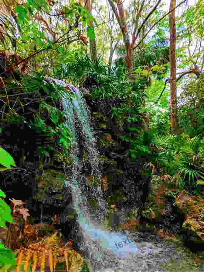 A Picturesque Waterfall Surrounded By Lush Vegetation In Northridge State Park Letchworth: State Park Of New York (Northridge Photography Presents 27)