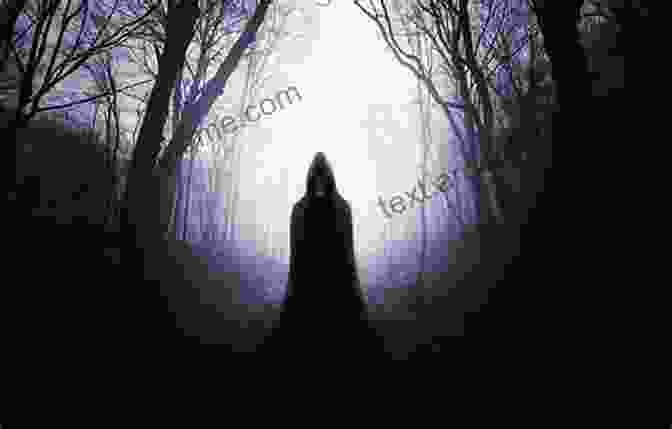 A Shadowy Figure Emerging From The Mist On The Shores Of A Great Lake. Shifting Truths (Great Lakes Investigations 3)