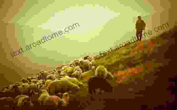 A Shepherd Tending To A Flock Of Sheep In Moravia Heredity Before Mendel: The Question Of Sheep S Wool In Moravia