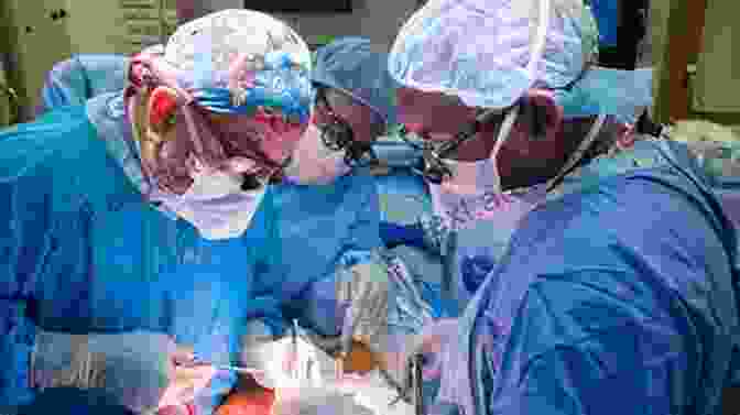 A Surgeon Performing A Liver Transplant How To Do A Liver Transplant: Stories From My Surgical Life