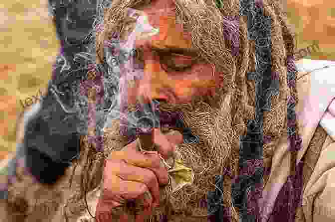 A Vedic Soma Ritual Involving Cannabis Sacred Bliss: A Spiritual History Of Cannabis