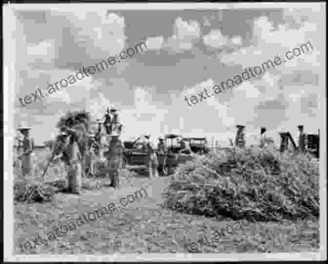 Allied Prisoners Of War Working In A Field Alongside American Farmers. Nebraska POW Camps: A History Of World War II Prisoners In The Heartland