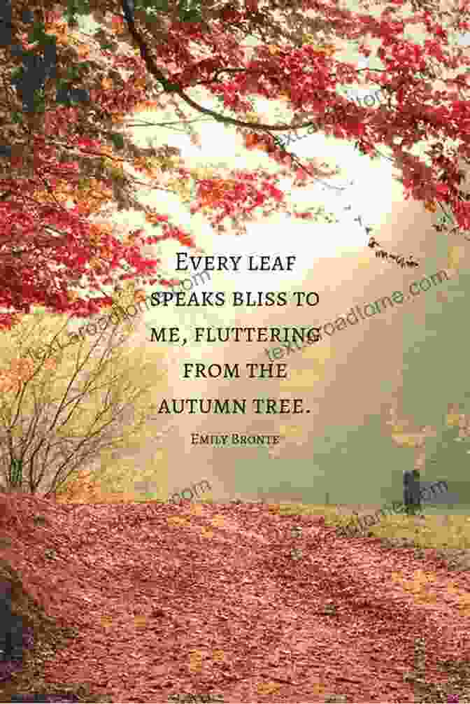 Autumn's Beauty Of Change And Gratitude A Lovely Life: Savoring Simple Joys In Every Season