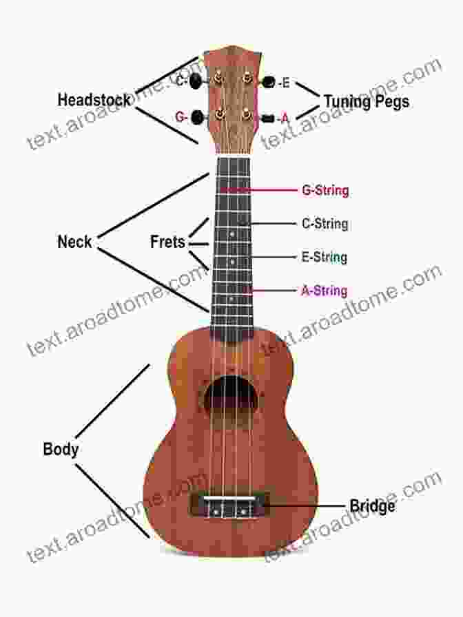 Choosing The Right Materials For Your Ukulele The Uke Illustrated: Design And Build The World S Coolest Ukulele