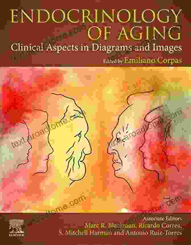 Clinical Aspects In Diagrams And Images Endocrinology Of Aging: Clinical Aspects In Diagrams And Images