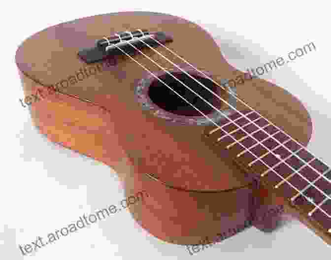 Designing Your Custom Ukulele The Uke Illustrated: Design And Build The World S Coolest Ukulele