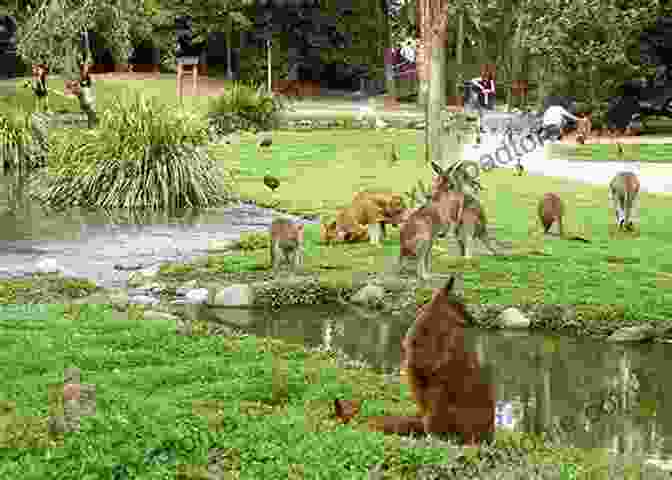 Diverse Wildlife, Including Birds, Deer, And Rabbits, Thriving In Britain's Natural Habitats The Pull Of The River: A Journey Into The Wild And Watery Heart Of Britain