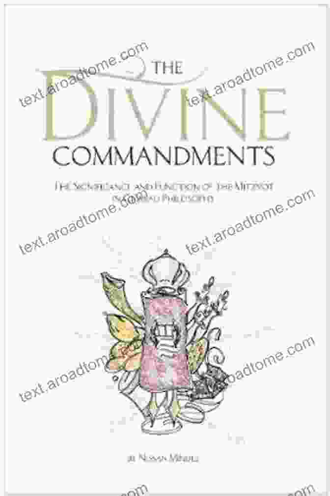 Divine Commandments Book Cover By Steven Yessick The Divine Commandments Steven Yessick