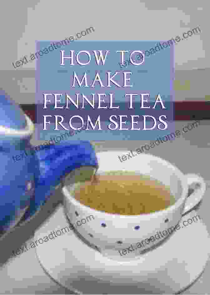 Fennel Seeds And Tea Natural Remedies For Bloating And Gas: How To Get Rid Of Bloating Gas Food Intolerance SIBO Irritable Bowel Syndrome Constipation Lactose Intolerance Digestive DisFree Downloads And Restore Gut Health