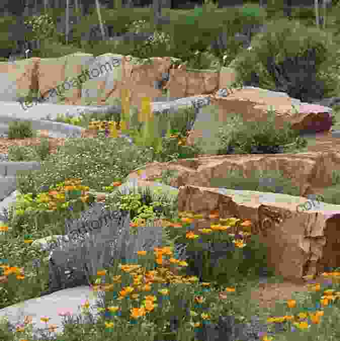 Garden Design Featuring A Variety Of Native Plants And Wildflowers Designing The Maine Landscape Theresa Mattor