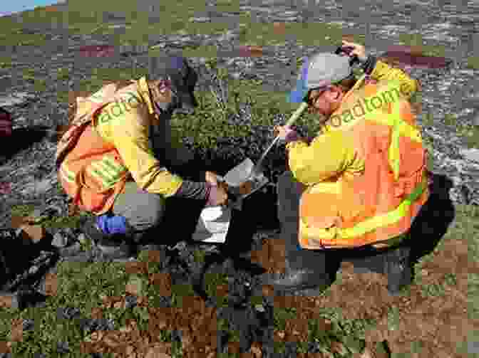 Geologist Collecting Soil Samples For Analysis In The Field Concepts And Applications In Environmental Geochemistry (ISSN 5)