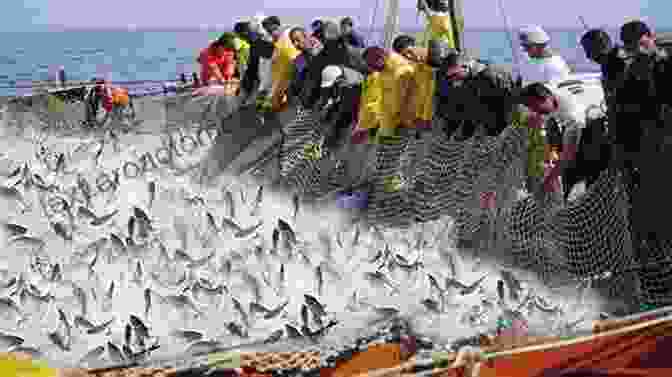 Image Of A Group Of Fishermen Hauling In A Net Full Of Sustainably Caught Fish Water Magic: Harnessing The Power Of The Natural Force Found In The Ocean And Sea And The Secrets Of Celtic Witchcraft And Scottish Magick (Elemental Magic)