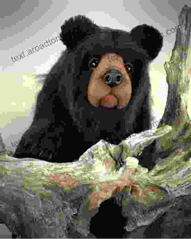 Kitchi The Bear And His Friends Bravely Face A Mountain Fire Bravery Kids Kitchi And The Mountain Fire (Kitchi The Bear 2)