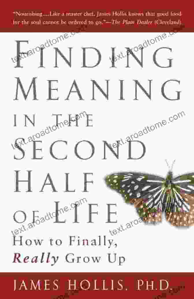 My Search For Wellness, Voice, And Meaning In The Second Half Of Life Book Cover Featuring A Woman In Contemplative Pose Amidst Nature. Magnificent Obesity: My Search For Wellness Voice And Meaning In The Second Half Of Life