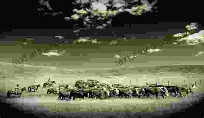 Panoramic View Of A Massive Cattle Drive, A Major Industry In The Wild West. Cowboys Mountain Men And Grizzly Bears: Fifty Of The Grittiest Moments In The History Of The Wild West