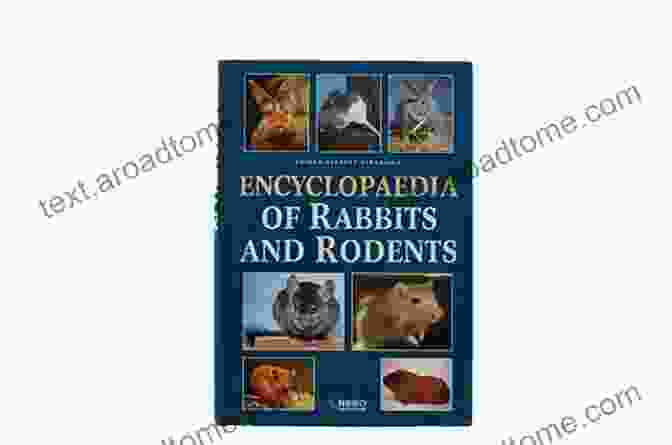 Rodents Short Encyclopedia Book Cover Rodents: Short Encyclopedia Peter D Epiro