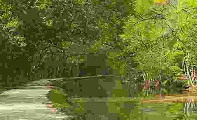 Scenic Photograph Of The Chesapeake And Ohio Canal Towpath, Winding Through A Verdant Forest, Inviting Exploration. The Chesapeake And Ohio Canal (Images Of America)