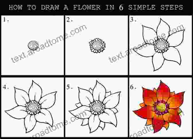 The Step By Step Guide To Drawing 30 Different Flowers Book Cover How To Draw 30 Flowers: The Step By Step To Draw 30 Different Flowers