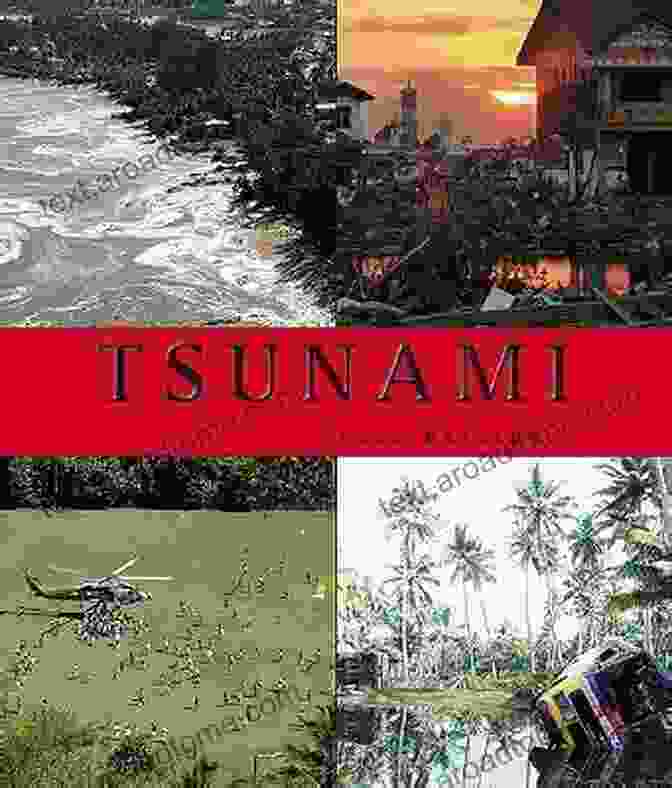 Tsunami Book Cover Featuring A Wave Crashing Over A Coastal Town Tsunami Raoul McLaughlin