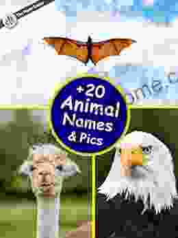 +20 Animal High Quality Pictures With Names: Animal Encyclopedia For Kids 2nd Edition (Animals Discovery)