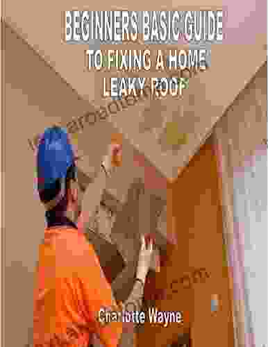 BASIC PRACTICAL GUIDE TO FIXING A HOME LEAKY ROOF: Beginner S Guide To Fixing A Leaky Roof