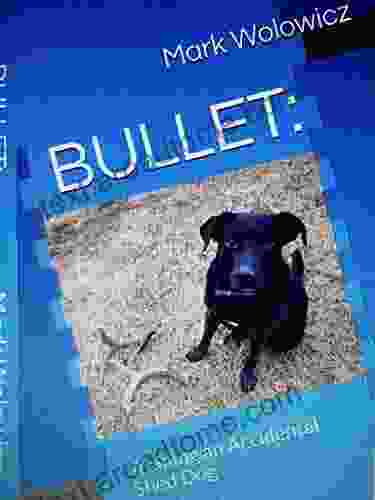 Bullet: Training an Accidental Shed Dog