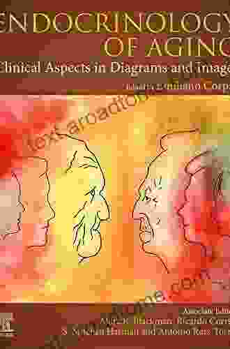 Endocrinology Of Aging: Clinical Aspects In Diagrams And Images