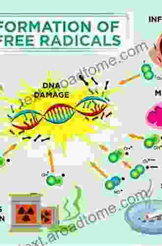 Food And Free Radicals (Innovations In Science Education And)