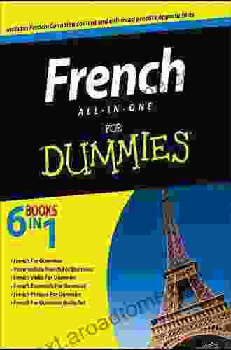 French All in One For Dummies Maria Reich