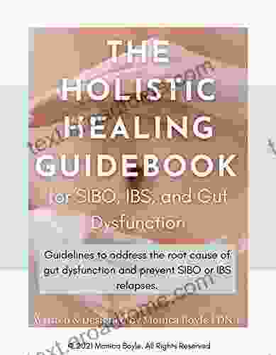 The Holistic Healing Guidebook For SIBO IBS And Gut Dyfunction: Guidelines To Address The Root Cause Of Gut Dysfunction And Prevent SIBO Or IBS Relapses