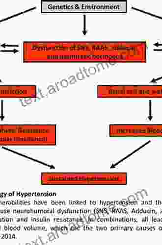 Hypoglycemia In Diabetes: Pathophysiology Prevalence And Prevention