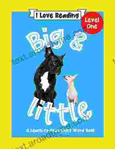 Big And Little: A Learn To Read Sight Word