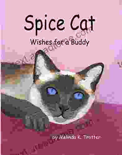 Spice Cat Wishes For A Buddy