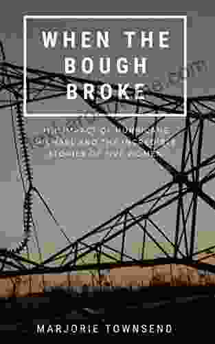 When The Bough Broke: The Impact Of Hurricane Michael And The Incredible Stories Of Five Women