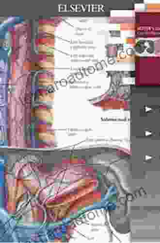 Netter s Correlative Imaging: Cardiothoracic Anatomy (Netter Clinical Science)