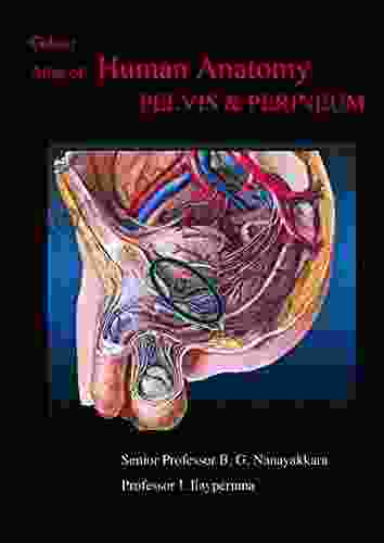 Colour Atlas of Anatomy Pelvis Perineum