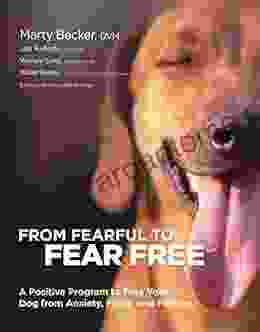 From Fearful To Fear Free: A Positive Program To Free Your Dog From Anxiety Fears And Phobias