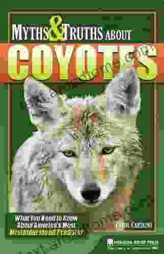 Myths Truths About Coyotes: What You Need To Know About America S Most Misunderstood Predator